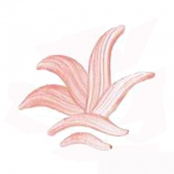 COULEUR SEMI-OPAQUE ROSE VP.3107