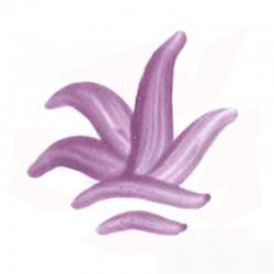 COULEUR SEMI OPAQUE LILAS VP.3110