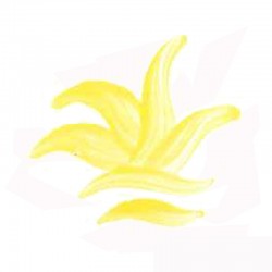 COULEUR SEMI OPAQUE JAUNE VP.3115