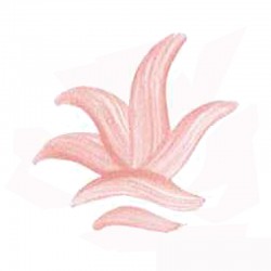 COULEUR SEMI OPAQUE ROSE VIF VP.3159