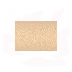 ENGOBE 6028 POUR TUILE/SCULPTURE BEIGE CLARISSIMO