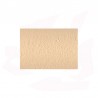 ENGOBE 6028 POUR TUILE/SCULPTURE BEIGE CLARISSIMO