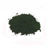 PIGMENT VERT FORET "6153"